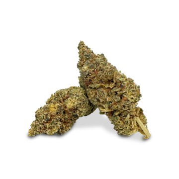 Florile Lemon Pie 30% HHC