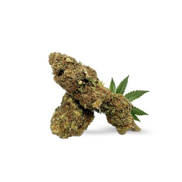 Florile Space Monkey 30% HHC