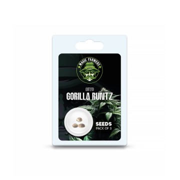 Seminte THC Gorilla Runtz