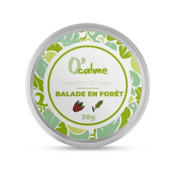 BALADE EN FORÊT înlocuitor...