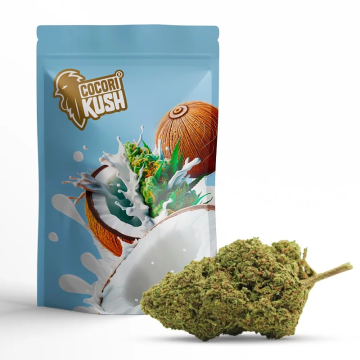 Coco Bongo Cocorikush CBD